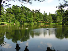 Foto: Furpacher Weiher im Vordergrund, Wald im Hintergrund